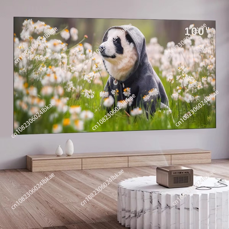 Projector Screen 100 Inch - 100 inch vast frame projectiescherm 16:9